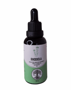 Rhodiola