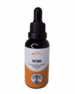 Mesima