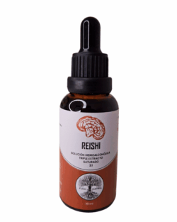 Reishi