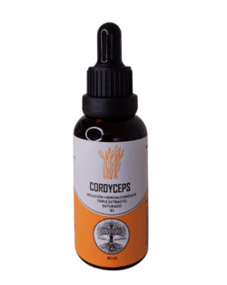 Cordyceps