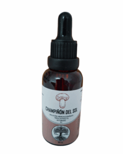 Champiñon del Sol